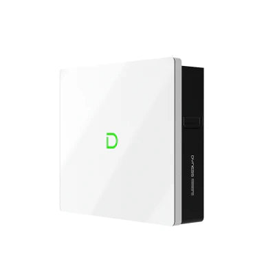 Dyness Powerbox G2