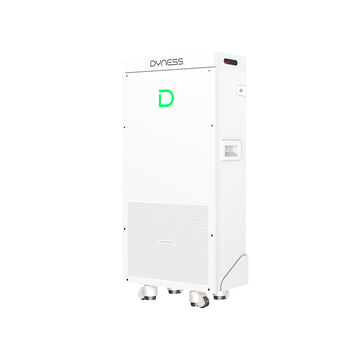 Dyness PowerBrick Plus